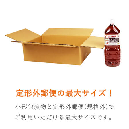 【宅配100サイズ】ダンボール箱（定形外郵便最大・国際郵便対応）洋服用