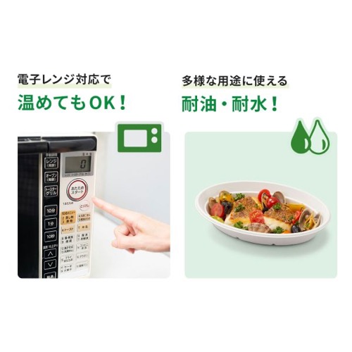 パックスタイル バガス容器 ABカレー C-1 ラミ 本体