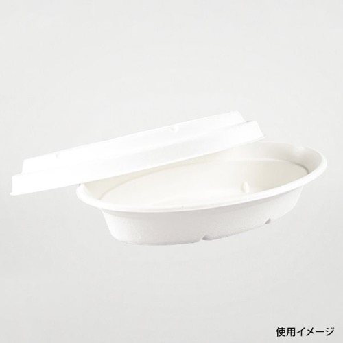 パックスタイル バガス容器 ABカレー C-2 ラミ 本体