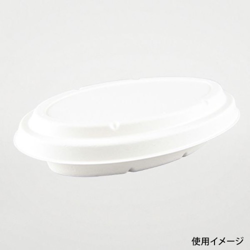 パックスタイル バガス容器 ABカレー C-2 ラミ 本体