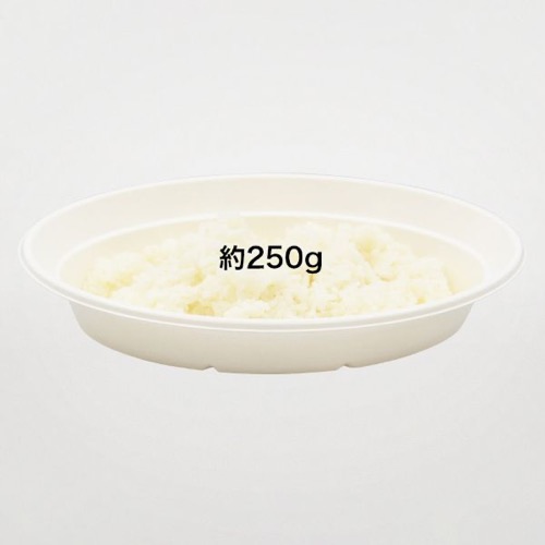 パックスタイル バガス容器 ABカレー C-2 ラミ 本体