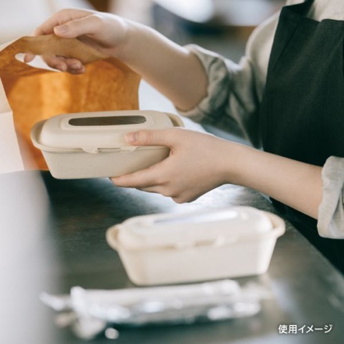 パックスタイル バガス容器 BBランチ N190-130 ラミ