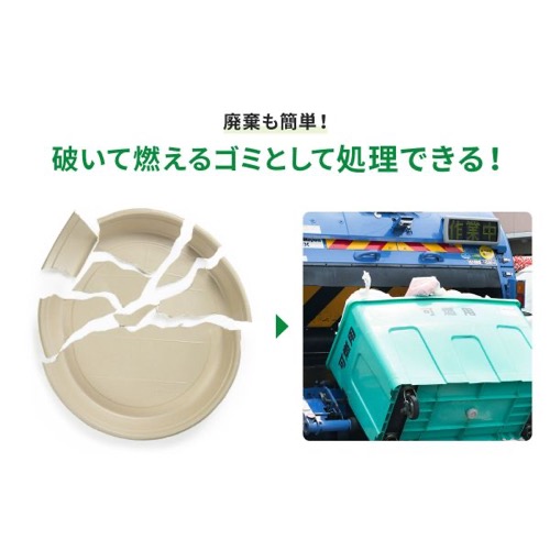 パックスタイル バガス容器 BB丸桶 6 ラミ 398φ×45H
