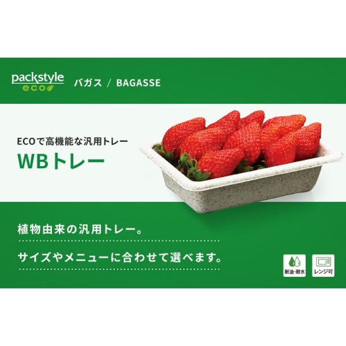 パックスタイル バガス容器 WB 15-10 本体