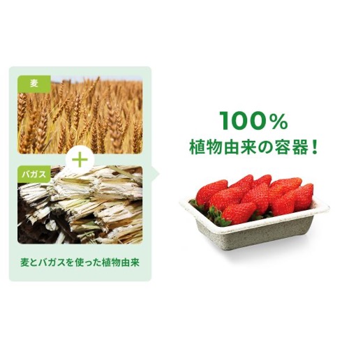 パックスタイル バガス容器 WB 15-10 本体