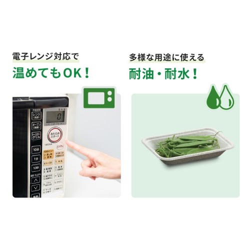 パックスタイル バガス容器 WB 15-10 本体