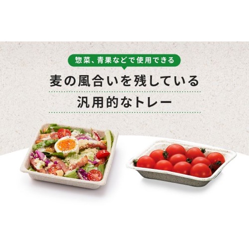 パックスタイル バガス容器 WB 15-10 本体