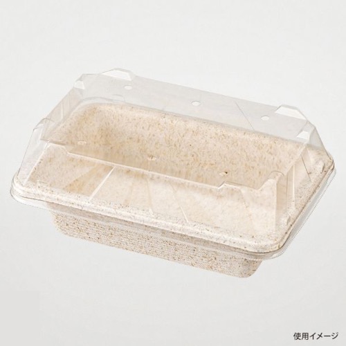 パックスタイル バガス容器 WB 16-11 本体