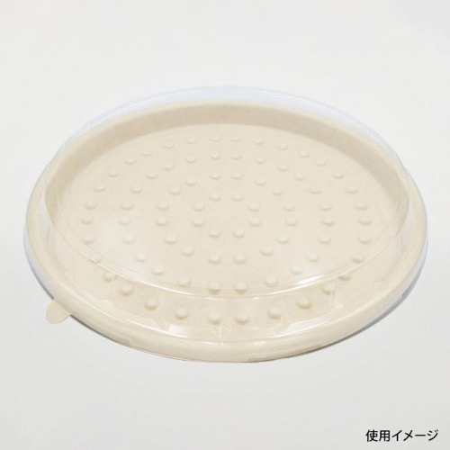 パックスタイル バガス容器 WBピザ 10インチ