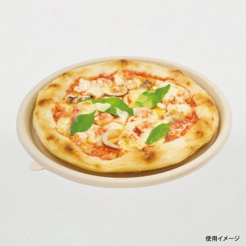 パックスタイル バガス容器 WBピザ 10インチ