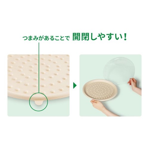 パックスタイル バガス容器 WBピザ 10インチ ハーフ
