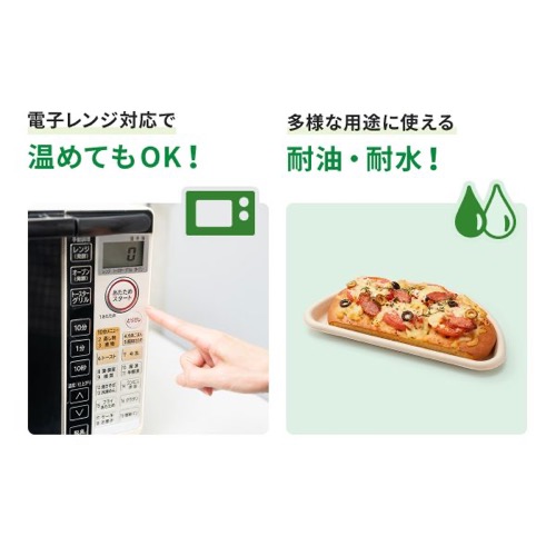 パックスタイル バガス容器 WBピザ 10インチ ハーフ