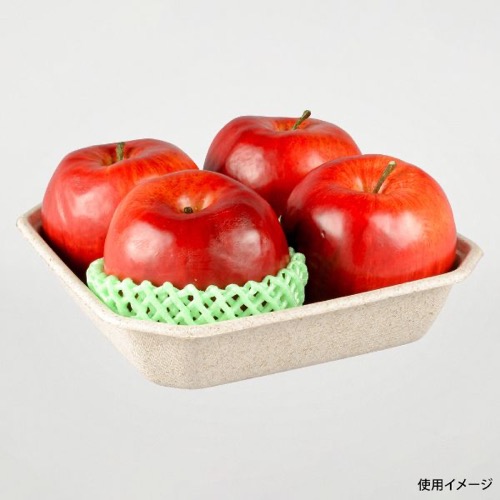 パックスタイル バガス容器 WBフルーツ 4L