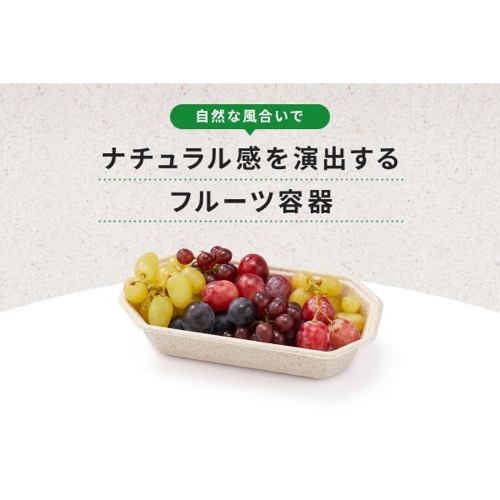パックスタイル バガス容器 WBフルーツ 4L