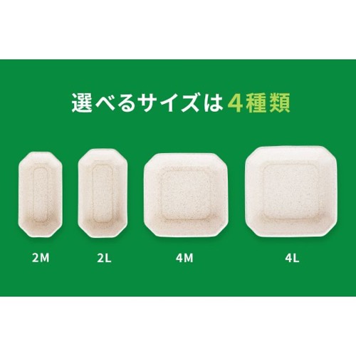 パックスタイル バガス容器 WBフルーツ 4L