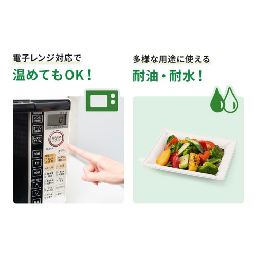パックスタイル バガス容器 WBプレート 20-12 本体