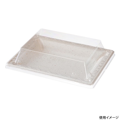 パックスタイル バガス容器 WBプレート 20-15 本体