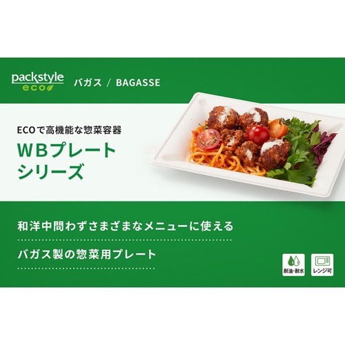 パックスタイル バガス容器 WBプレート 20-15 本体