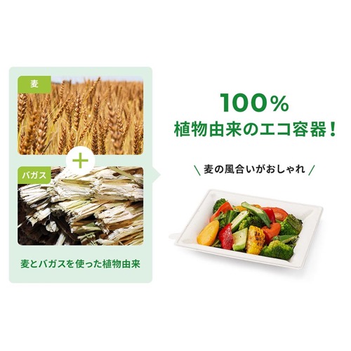 パックスタイル バガス容器 WBプレート 20-15 本体