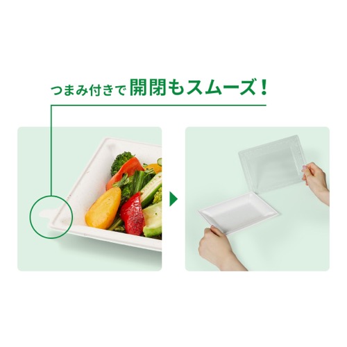 パックスタイル バガス容器 WBプレート 20-15 本体