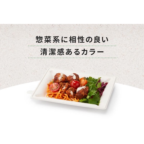 パックスタイル バガス容器 WBプレート 20-15 本体
