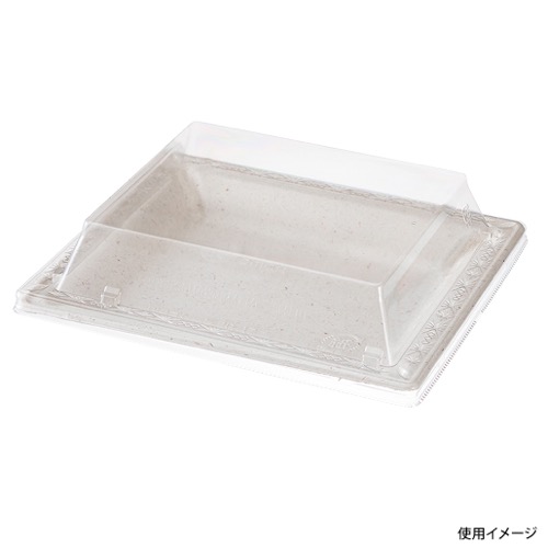 パックスタイル バガス容器 WBプレート 20-17 本体