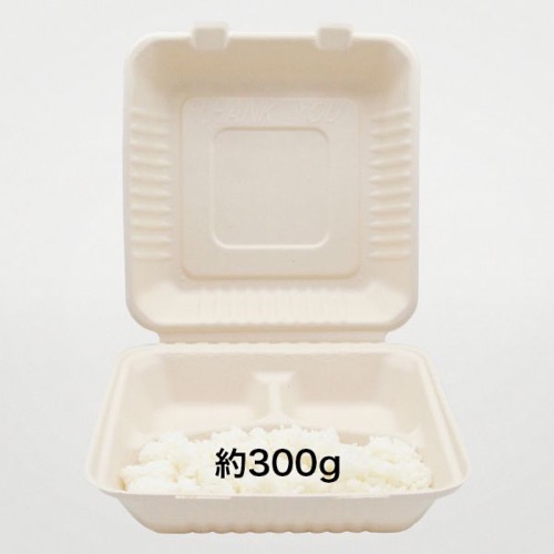 パックスタイル バガス容器 新BBランチ 230-230-3