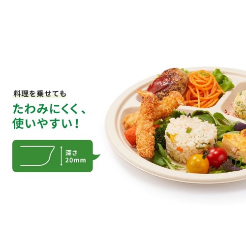 パックスタイル バガス容器 新BB楕円プレート 250-190