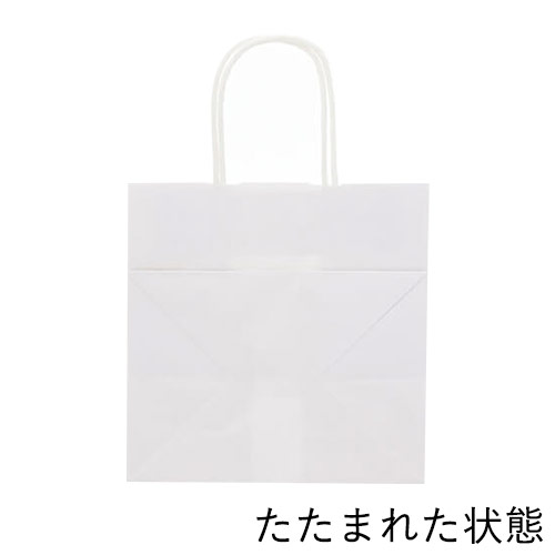 手提げ紙袋（白・丸紐・幅240×マチ170×高さ240mm）