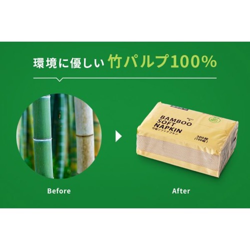 紙ナプキン ティッシュタイプ 茶 3ply BBソフトナフキン 1パック300枚/100組入り パックスタイル