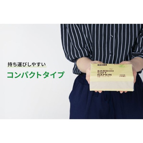 紙ナプキン ティッシュタイプ 茶 3ply BBソフトナフキン 1パック300枚/100組入り パックスタイル