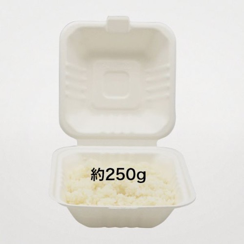 パックスタイル 弁当容器 新ABランチ150-150