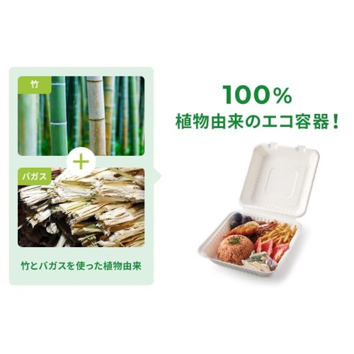 パックスタイル 弁当容器 新ABランチ200-220-3