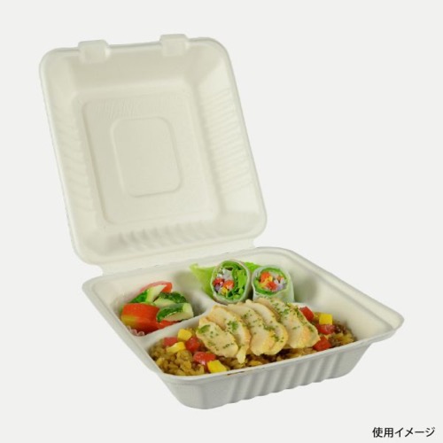 パックスタイル 弁当容器 新ABランチ200-220-3