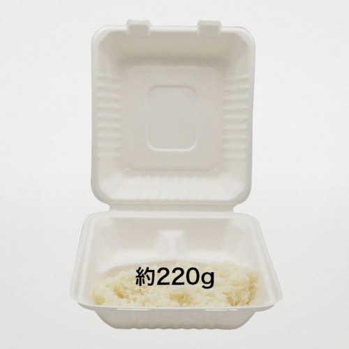パックスタイル 弁当容器 新ABランチ200-220-3