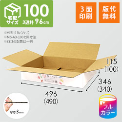 【食べチョク ロゴ印刷】【フルカラー・3面】宅配100サイズ ダンボール箱（白・薄型・洋服用）