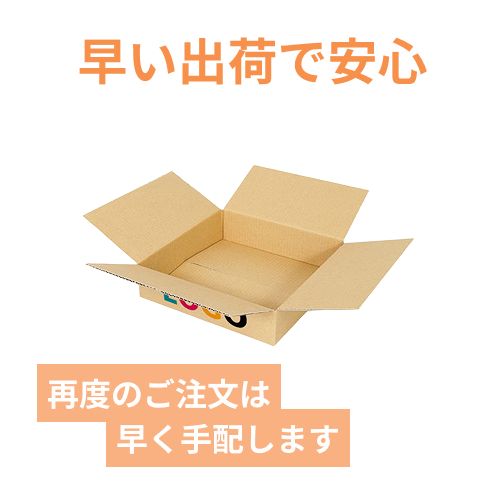 ロゴ印刷・フルカラー・3面】薄型 宅配60サイズ・ダンボール箱（250