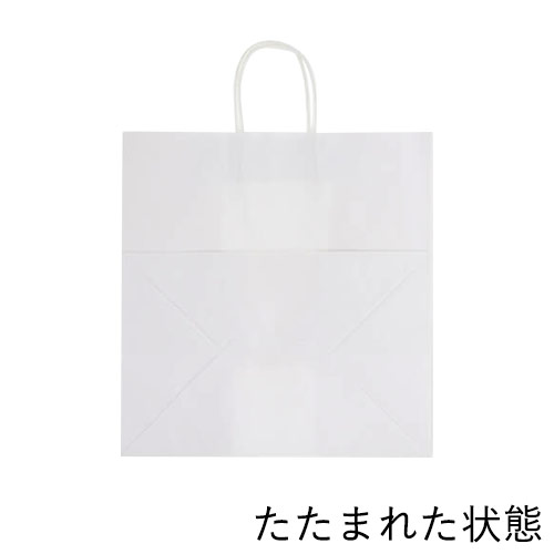 手提げ紙袋（白・丸紐・幅380×マチ250×高さ395mm）