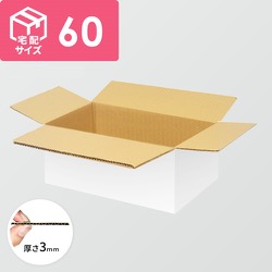 宅配60サイズ】ダンボール箱（300×210×60mm）3mm B/F C5×C5