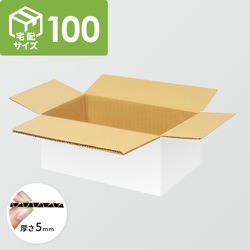 宅配100サイズ】ダンボール箱（385×273×160mm）5mm A/F K5×K5