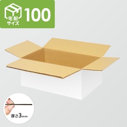 宅配100サイズ】ダンボール箱（600×250×110mm）5mm A/F K5×K5