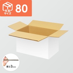 宅配80サイズ】（370×170×100mm）3mm B/F C120×C120 | ダンボール