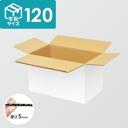 宅配120サイズ】ダンボール箱（500×330×240mm）5mm A/F 白C5×C5