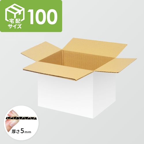 【宅配100サイズ】ダンボール箱(390×250×200mm)5mm A/F 白C5×C5<100枚>