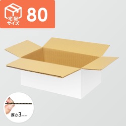 宅配80サイズ】ダンボール箱（350×250×100mm）5mm A/F 白C5×C5