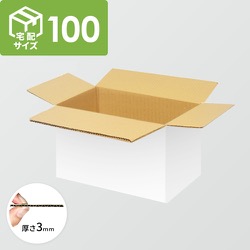 おっちんさん専用 梱包箱 UN3481 広告入】宅配80サイズ ダンボール箱