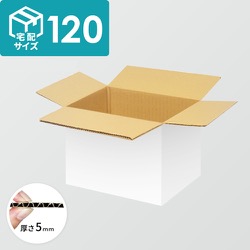 宅配120サイズ】ダンボール箱（400×350×300mm）5mm A/F K5×K5