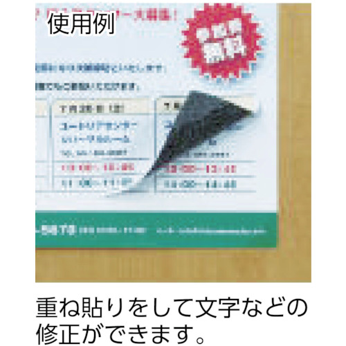 3M エーワン ラベルシール［プリンター兼用］ 下地が透けない修正タイプ A4 10面 50.8×86.4mm （12枚入） 31663