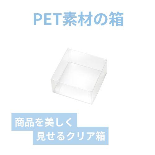 ＰＥＴクリアケース　100×100×50