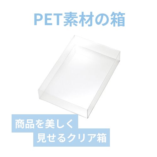 ＰＥＴクリアケース　175×260×50